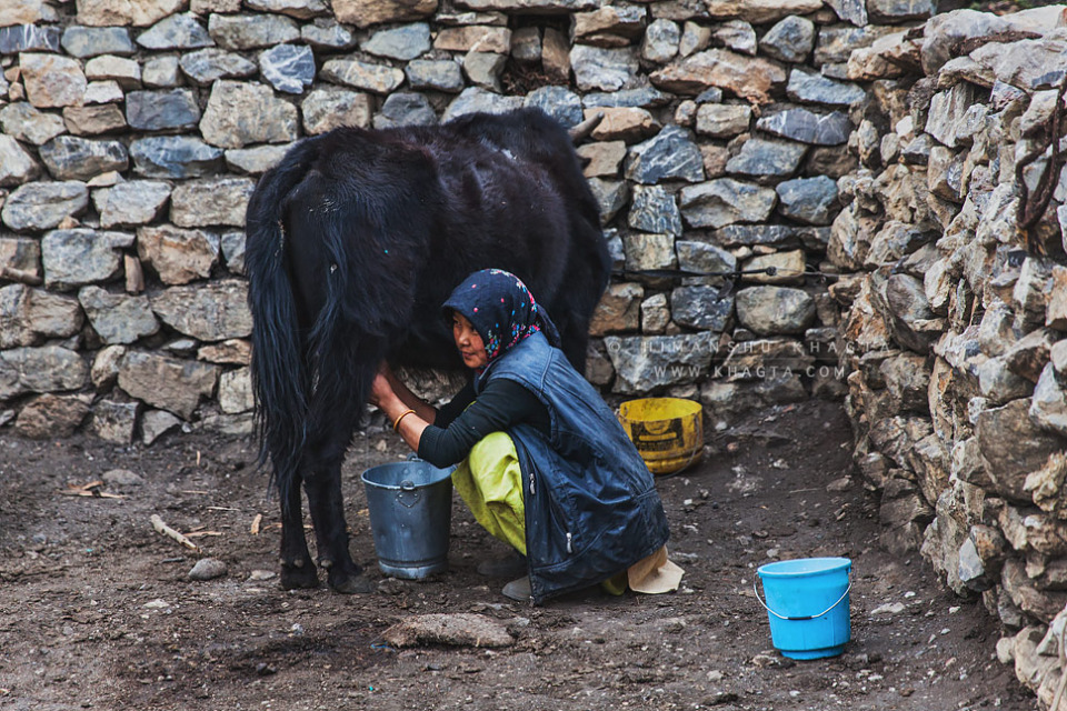 Life in Spiti Valley, Himachal Pradesh, India